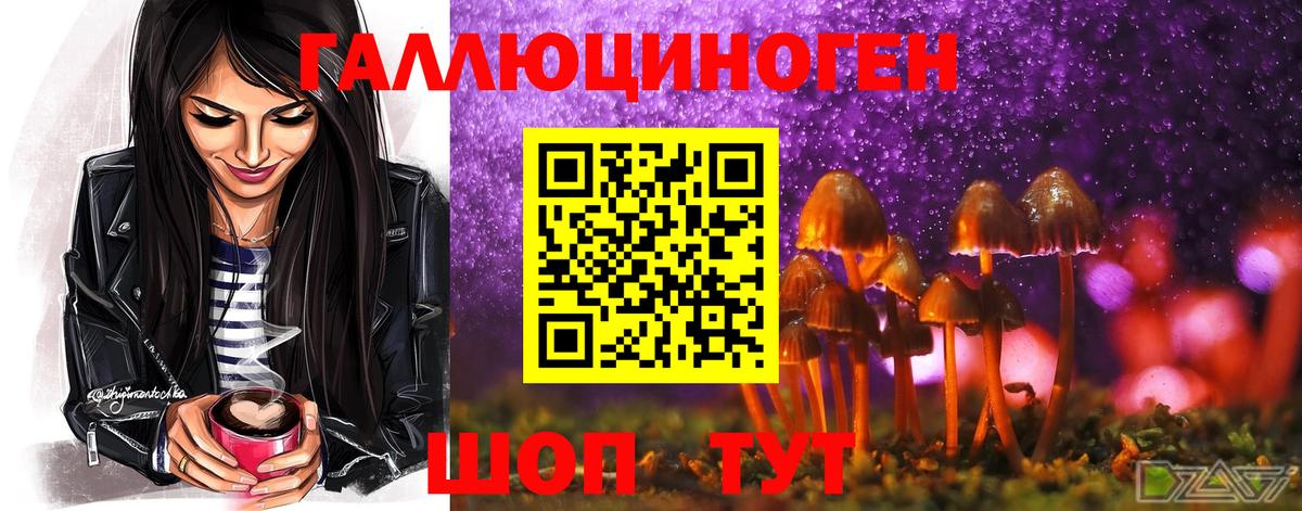 Копейск  Псилоцибиновые грибы Magic Shrooms  Вход с VPN 